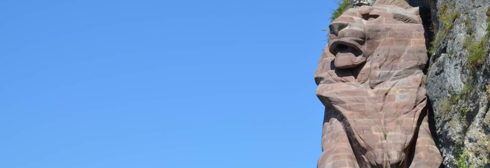 semi marathon lion 2022