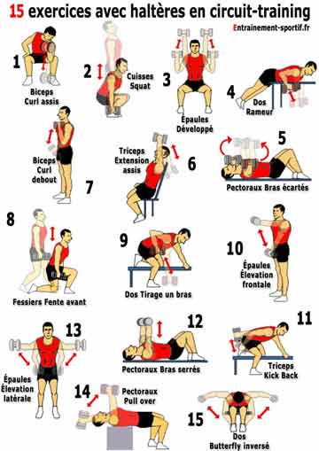 programme perte de poids homme