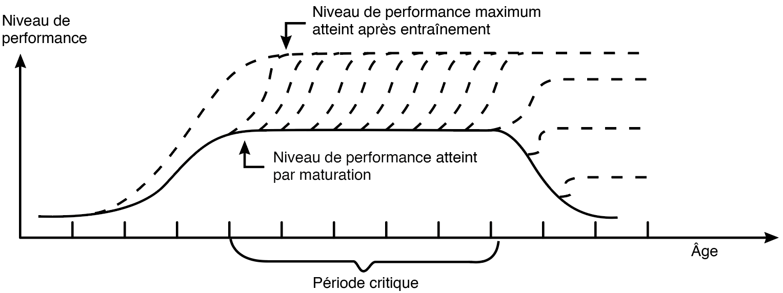 entrainement dictionnaire