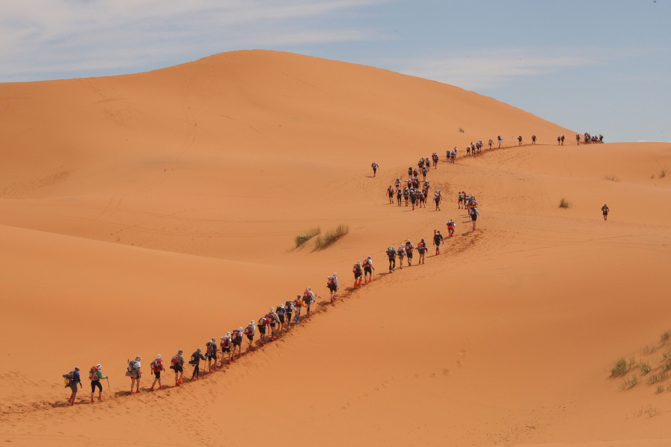 sahara marathon des sables